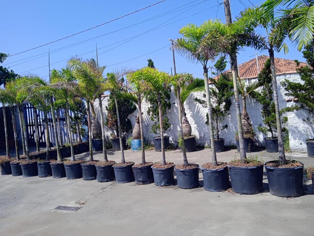 Pousada Sereia Jofisa Itanhaem Luaran gambar